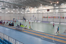 Partido Rusia contra Costa Rica. 14º Campeonato del Mundo Universitario de Fútbol Sala 2014 (FUTSAL). Antequera. Julio de 2014