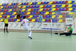 Partido Irán contra Bielorrusia. 14º Campeonato del Mundo Universitario de Fútbol Sala 2014 (FUTSAL). Antequera. Julio de 2014