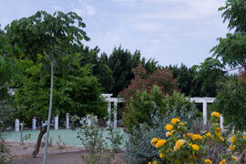 Jardín Botánico. Campus de Teatinos. Mayo de 2013