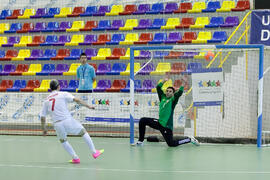 Partido Irán contra Bielorrusia. 14º Campeonato del Mundo Universitario de Fútbol Sala 2014 (FUTSAL). Antequera. Julio de 2014