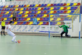 Partido Irán contra Bielorrusia. 14º Campeonato del Mundo Universitario de Fútbol Sala 2014 (FUTSAL). Antequera. Julio de 2014