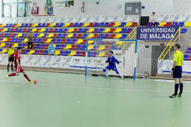 Partido Irán contra Bielorrusia. 14º Campeonato del Mundo Universitario de Fútbol Sala 2014 (FUTSAL). Antequera. Julio de 2014