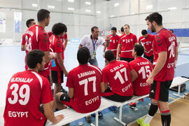 Partido Egipto - Rumanía. Categoría masculina. Campeonato del Mundo Universitario de Balonmano. Antequera. Junio de 2016