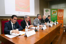 XIII Jornadas Andaluzas de Enseñanza de Economía. Facultad de Ciencias Económicas y Empresariales. Febrero de 2020