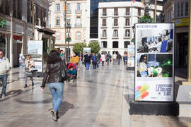 Exposición "La Universidad de Málaga del Siglo XXI". Calle Larios. Enero de 2017
