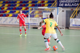 Partido Brasil contra Rusia. 14º Campeonato del Mundo Universitario de Fútbol Sala 2014 (FUTSAL). Antequera. Julio de 2014