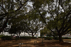 Jardín central del Campus de El Ejido. Abril de 2021