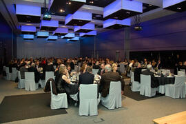 Cena de gala con motivo al homenaje para los jubilados y personal que cumple 25 años de servicio en la Universidad de Málaga. Hotel Barceló. Febrero de 2009