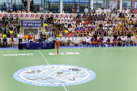 Partido Rusia contra Brasil. 14º Campeonato del Mundo Universitario de Fútbol Sala 2014 (FUTSAL). Antequera. Julio de 2014