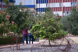 Jardín Botánico. Campus de Teatinos. Mayo de 2013