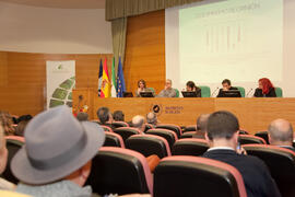 "Jornadas de columnismo de opinión. Encuentros en Málaga". Edificio del Rectorado. Enero de 2014