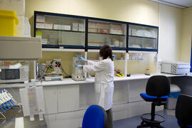 CIMES: Centro de Investigaciones Médico Sanitarias. Campus de Teatinos. Mayo de 2013