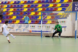 Partido Irán contra Bielorrusia. 14º Campeonato del Mundo Universitario de Fútbol Sala 2014 (FUTSAL). Antequera. Julio de 2014