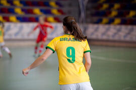 Partido Brasil contra Rusia. 14º Campeonato del Mundo Universitario de Fútbol Sala 2014 (FUTSAL). Antequera. Julio de 2014