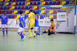 Partido Ucrania contra Brasil. 14º Campeonato del Mundo Universitario de Fútbol Sala 2014 (FUTSAL). Antequera. Julio de 2014