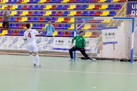 Partido Irán contra Bielorrusia. 14º Campeonato del Mundo Universitario de Fútbol Sala 2014 (FUTSAL). Antequera. Julio de 2014