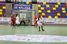 Partido Portugal contra Rusia. 14º Campeonato del Mundo Universitario de Fútbol Sala 2014 (FUTSAL). Antequera. Julio de 2014