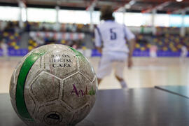 Partido de fútbol sala. Fases Finales de los Campeonatos de España Universitarios. Antequera. Abril de 2012