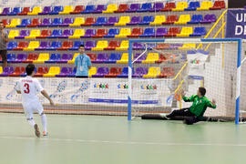 Partido Irán contra Bielorrusia. 14º Campeonato del Mundo Universitario de Fútbol Sala 2014 (FUTSAL). Antequera. Julio de 2014