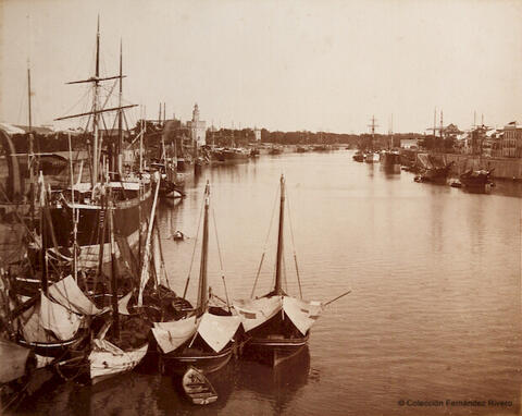 Open original Digital object