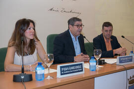 Presentación del curso. Curso "Los servicios sociales como cuarto pilar del bienestar social". Cursos de Verano de la Universidad de Málaga. Vélez-Málaga. Julio de 2019