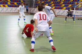 Partido Rusia contra República Checa. 14º Campeonato del Mundo Universitario de Fútbol Sala 2014 (FUTSAL). Antequera. Julio de 2014