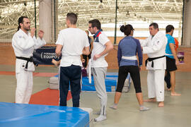 Taller de Judo Utilitario Adaptado. 7º Congreso Internacional de Actividad Física Deportiva para Mayores. Escuela Técnica Superior de Ingeniería de Telecomunicaciones y de Informática. Noviembre de 2017