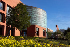 Biblioteca General. Campus de Teatinos. Febrero de 2021