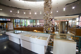 Biblioteca General con la instalación "Biblioteca de Babel XIII", de José Ignacio Díaz de Rábago. Campus de Teatinos. Enero de 2018