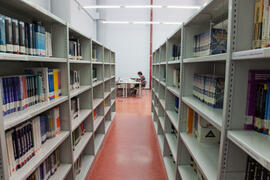 Biblioteca de Informática y Telecomunicaciones. Campus de Teatinos. Abril de 2013