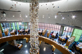 Biblioteca General con la instalación "Biblioteca de Babel XIII", de José Ignacio Díaz de Rábago. Campus de Teatinos. Enero de 2018