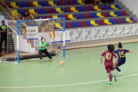 Partido España contra Portugal. 14º Campeonato del Mundo Universitario de Fútbol Sala 2014 (FUTSAL). Antequera. Julio de 2014