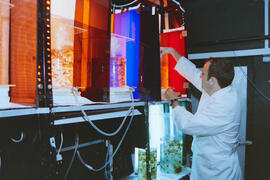 Instalaciones: Laboratorio. Mayo de 1995