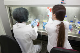 Personal e instalaciones del Departamento de Farmacología. Facultad de Medicina. Noviembre de 2015