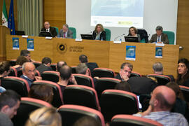 Mesa 1: "La perspectiva de las Naciones Unidas". Jornada "Brexit y Gibraltar. Un reto con oportunidades conjuntas". Edificio del Rectorado. Febrero de 2017