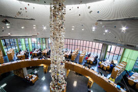 Biblioteca General con la instalación "Biblioteca de Babel XIII", de José Ignacio Díaz de Rábago. Campus de Teatinos. Enero de 2018
