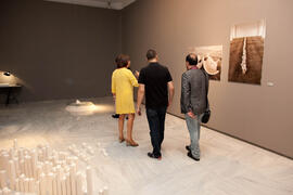 Presentación de las exposiciones realizadas con los trabajos de los alumnos de Arquitectura y Bellas Artes. Rectorado. Septiembre de 2013