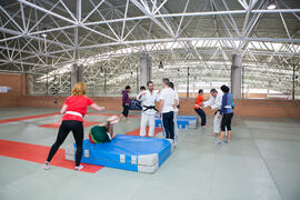 Taller de Judo Utilitario Adaptado. 7º Congreso Internacional de Actividad Física Deportiva para Mayores. Escuela Técnica Superior de Ingeniería de Telecomunicaciones y de Informática. Noviembre de 2017