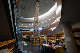 Biblioteca General con la instalación "Biblioteca de Babel XIII", de José Ignacio Díaz de Rábago. Campus de Teatinos. Enero de 2018
