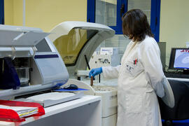 CIMES: Centro de Investigaciones Médico Sanitarias. Campus de Teatinos. Mayo de 2013