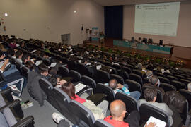 Panel de expertos. 4º Congreso Internacional de Actividad Físico-Deportiva para Mayores. Escuela Técnica Superior de Ingeniería Informática y Telecomunicaciones. Marzo de 2011