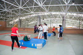 Taller de Judo Utilitario Adaptado. 7º Congreso Internacional de Actividad Física Deportiva para Mayores. Escuela Técnica Superior de Ingeniería de Telecomunicaciones y de Informática. Noviembre de 2017