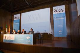 Inauguración del XXVI Certamen Bienal Internacional de Cine Científico de la Universidad de Málaga. Convento Santo Domingo, Ronda. Octubre de 2010