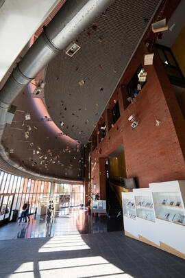 Biblioteca General con la instalación "Biblioteca de Babel XIII", de José Ignacio Díaz de Rábago. Campus de Teatinos. Enero de 2018