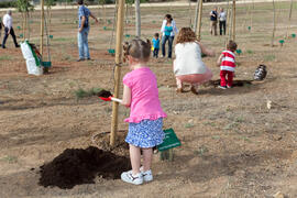Niña graduada de la Escuela Infantil incorpora su árbol al Bosque del Conocimiento. Campus de Teatinos. Mayo 2015