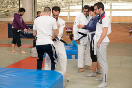 Taller de Judo Utilitario Adaptado. 7º Congreso Internacional de Actividad Física Deportiva para Mayores. Escuela Técnica Superior de Ingeniería de Telecomunicaciones y de Informática. Noviembre de 2017