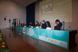 Panel de expertos. 4º Congreso Internacional de Actividad Físico-Deportiva para Mayores. Escuela Técnica Superior de Ingeniería Informática y Telecomunicaciones. Marzo de 2011