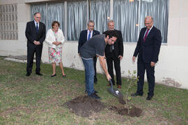 Presentación del árbol de Hipócrates donado por la isla de Kos. Facultad de Medicina. Octubre de 2017