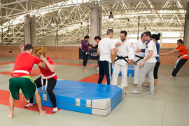 Taller de Judo Utilitario Adaptado. 7º Congreso Internacional de Actividad Física Deportiva para Mayores. Escuela Técnica Superior de Ingeniería de Telecomunicaciones y de Informática. Noviembre de 2017