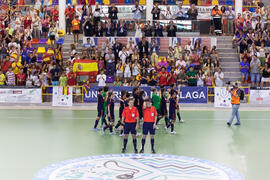 Saludo final. Partido Brasil contra España. 14º Campeonato del Mundo Universitario de Fútbol Sala 2014 (FUTSAL). Antequera. Julio de 2014